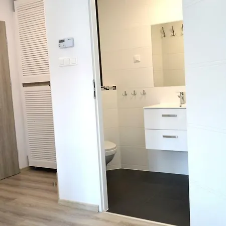 公寓 Apartament Vl 索波特